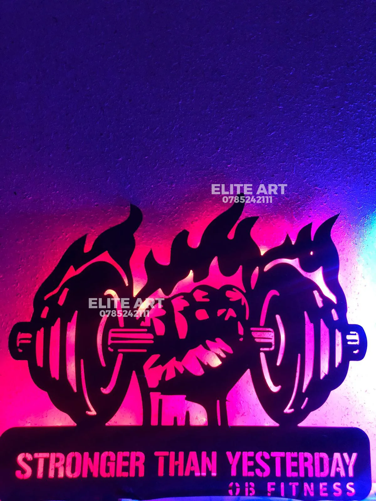 tableau  FITNESS  alicoband avec led RGB