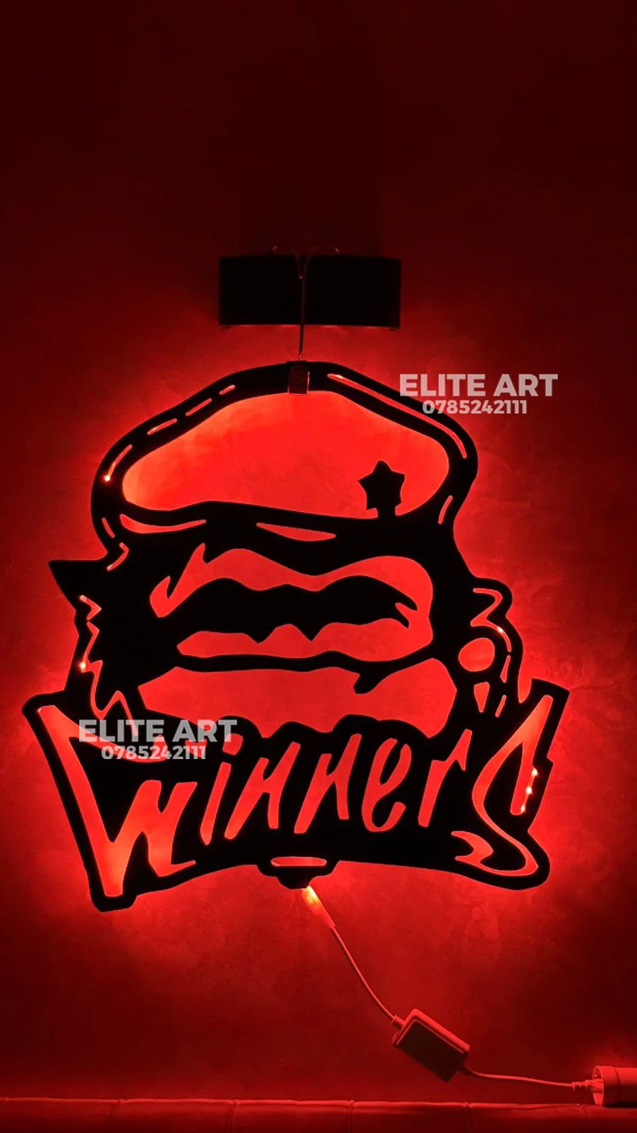 tableau  RAJA & WINERS  alicoband avec led RGB