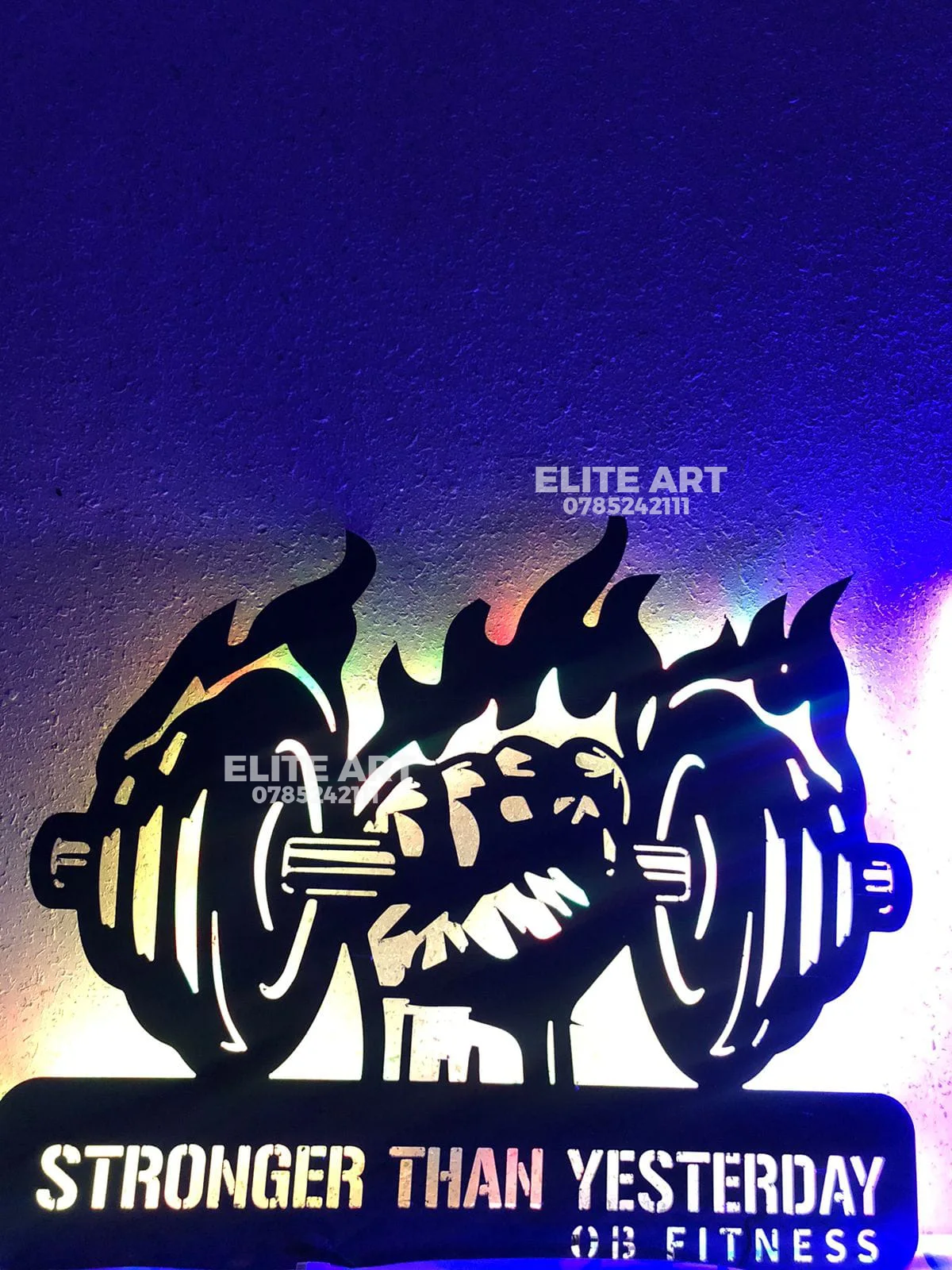 tableau  FITNESS  alicoband avec led RGB