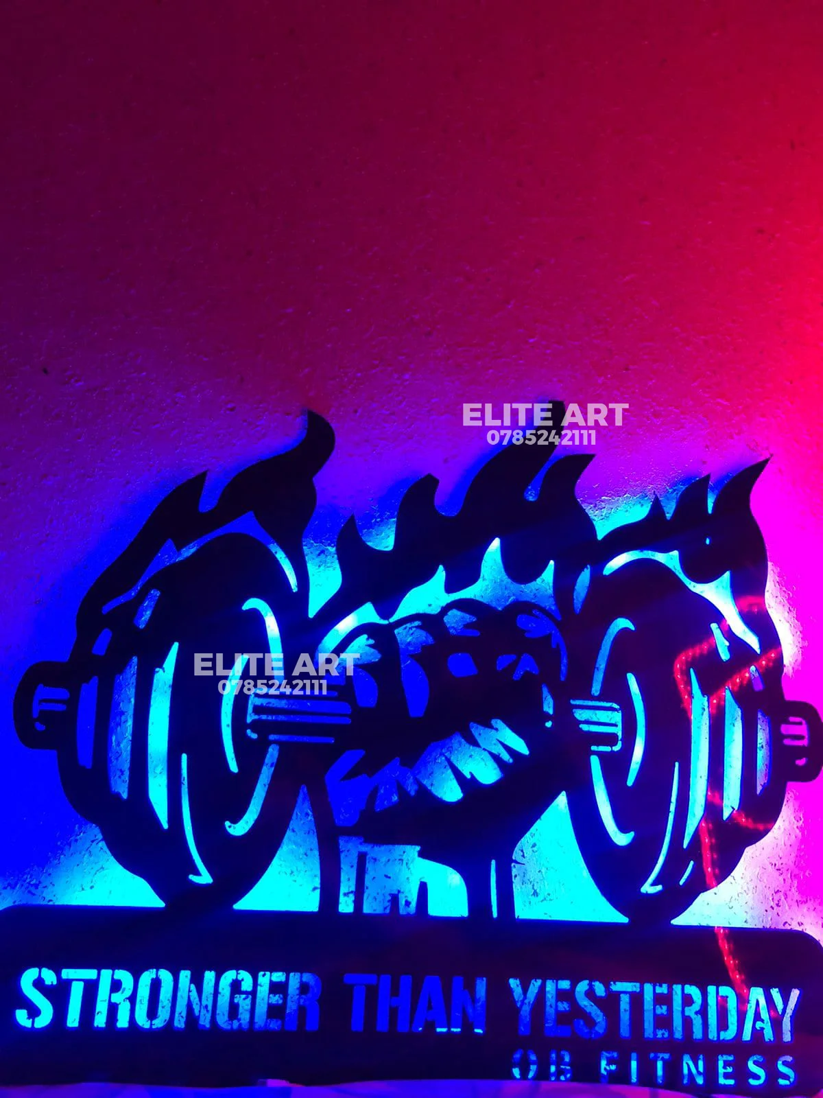 tableau  FITNESS  alicoband avec led RGB