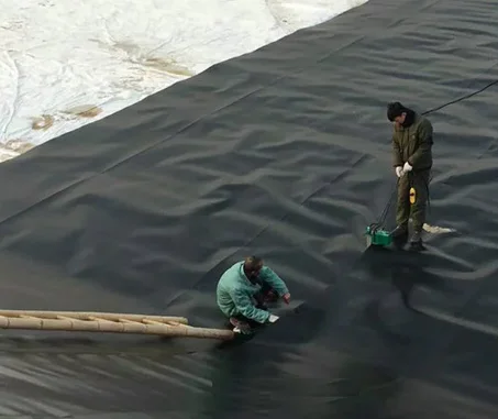 Geomembrane Kenya for Tailings Treatment Project