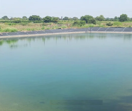 HDPE Plastic Sheet for Fish Pond Project in Thailand