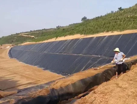 bâche pour bassin en plastique pour un étang à poissons en Thaïlande