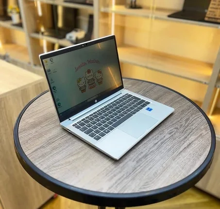 HP probook 630 G8