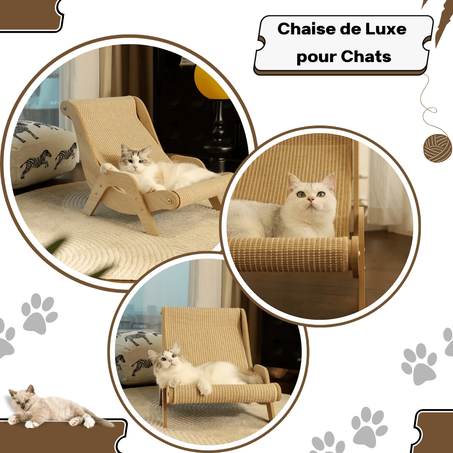 Chaise de Luxe pour Chats