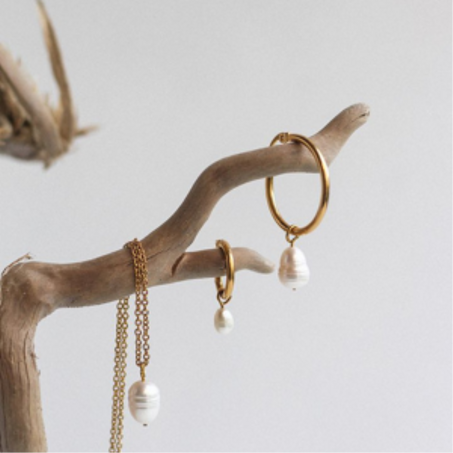 الإكسسورات