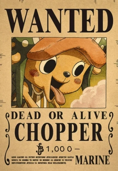 ☠️ One Piece Wanted Posters Collection