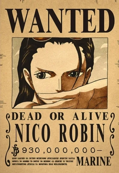 ☠️ One Piece Wanted Posters Collection