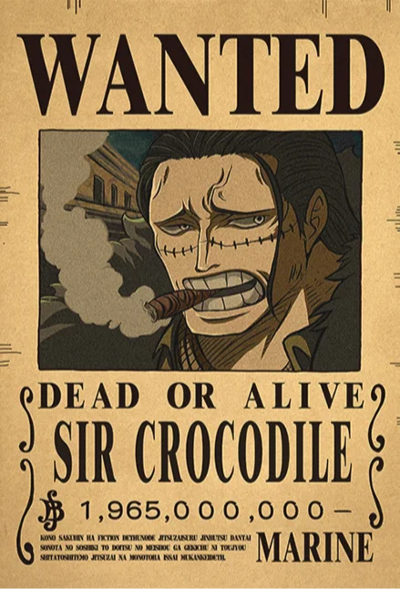 ☠️ One Piece Wanted Posters Collection