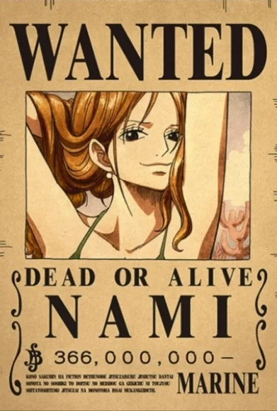 ☠️ One Piece Wanted Posters Collection