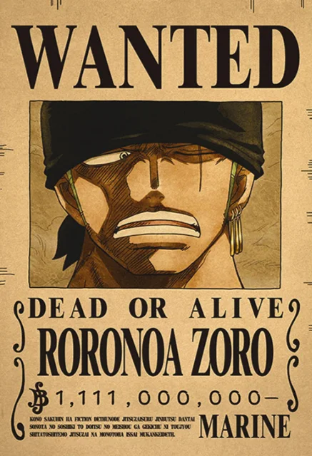 ☠️ One Piece Wanted Posters Collection