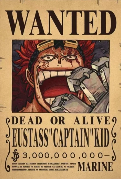 ☠️ One Piece Wanted Posters Collection