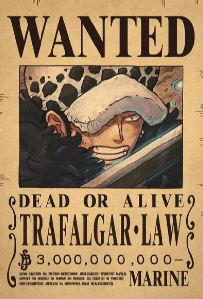 ☠️ One Piece Wanted Posters Collection