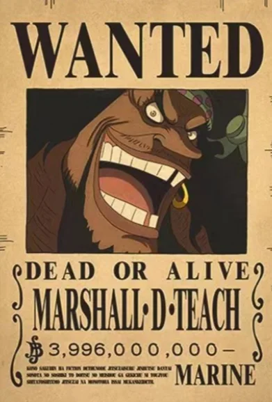 ☠️ One Piece Wanted Posters Collection