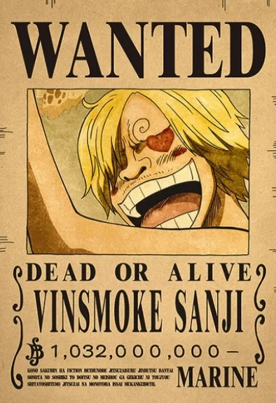 ☠️ One Piece Wanted Posters Collection