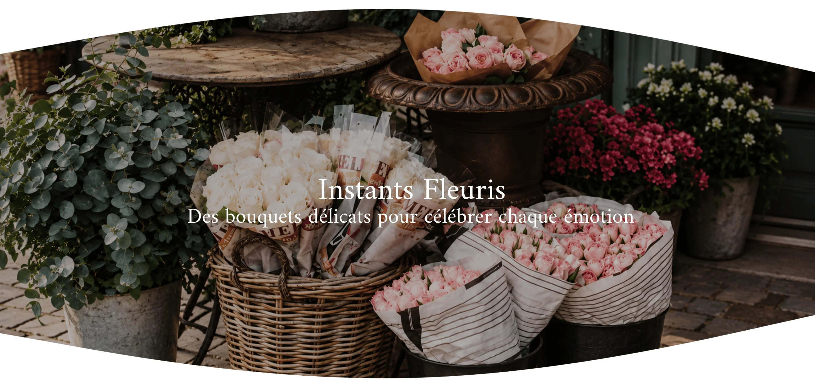 slider-image