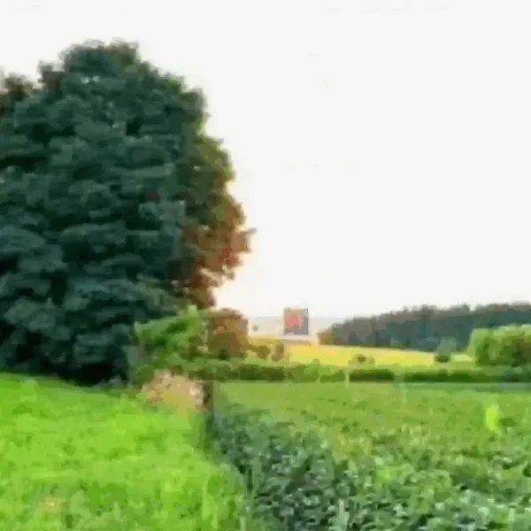 Découvrez nos Lunettes Photochromiques Premium