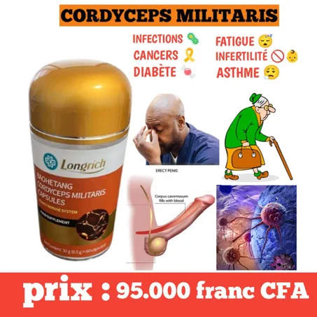 CORDYCEPS MILITARIS