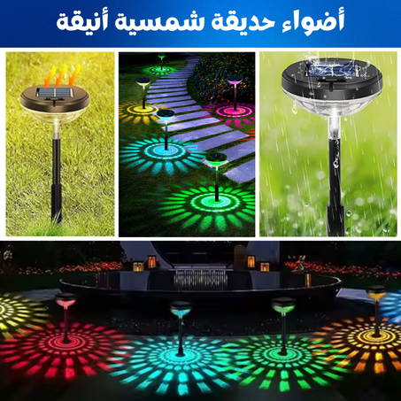 أضواء حديقة شمسية أنيقة – تضيء الممر وتزيّن الحديقة بجمال طبيعي