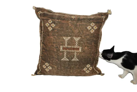 Moroccan Cactus Silk Handmade Pillow