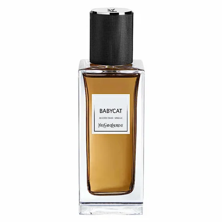 Babycat Yves Saint Laurent X6