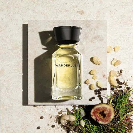 Wanderlust Omanluxury X8