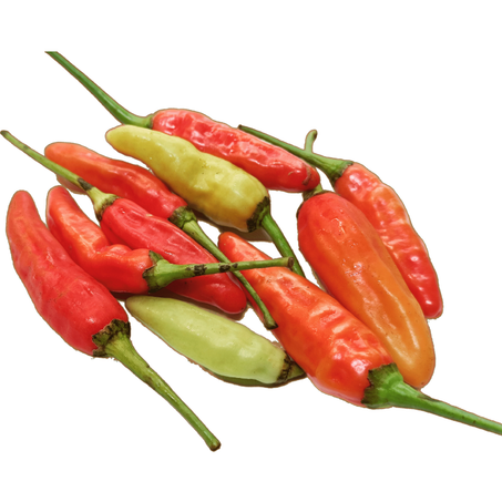Piment Fort - فلفل حار