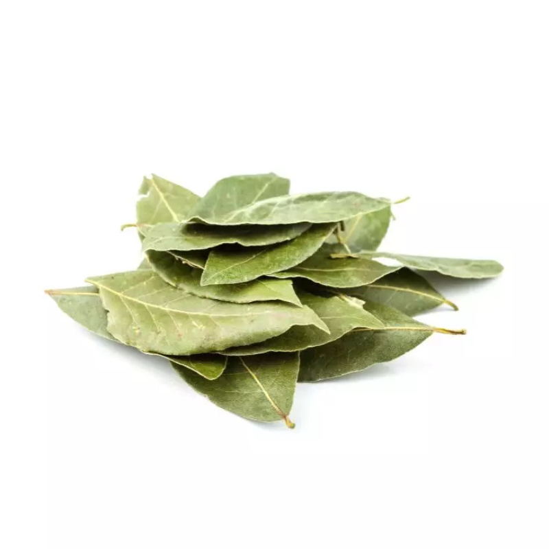 stores/2cd7c4300851b1cfd54262b7c791fa01/products/SwMMpLIIuVliInOxY6tpResFrQDvs2OD8GksdLgI.png