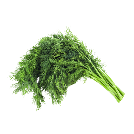 Le Fenouil - البسباس