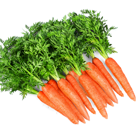 Carotte - جزر
