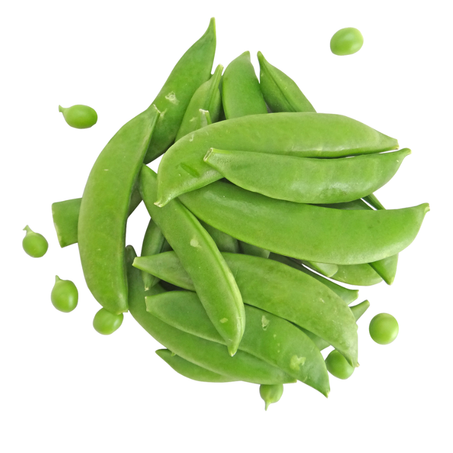 Petit Pois - جلبانة