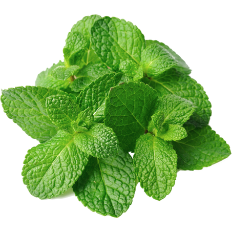 Menthe - نعناع
