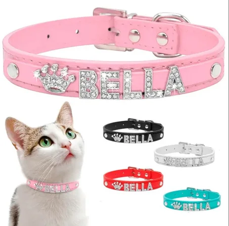 Accessoires Chat & Chien