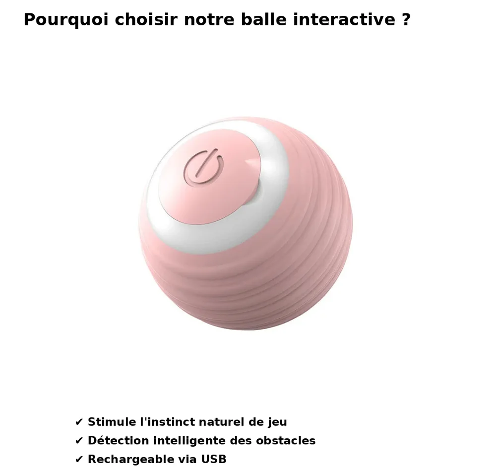 Balle Magique Pour Chien et Chat ✨LIVRAISON GRATUITE✨