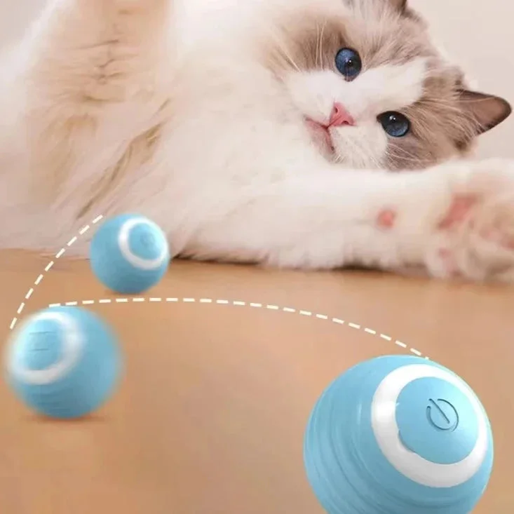 Balle Magique Pour Chien et Chat ✨LIVRAISON GRATUITE✨