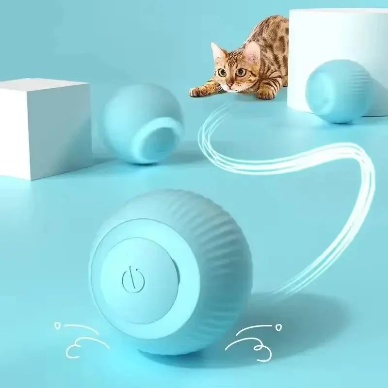 Balle Magique Pour Chien et Chat ✨LIVRAISON GRATUITE✨