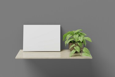 slider-image