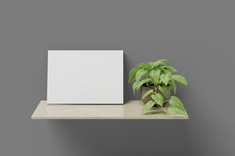 slider-image