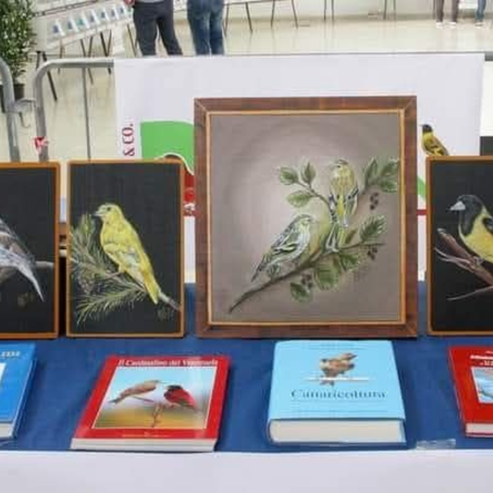 المدونة  العلمية