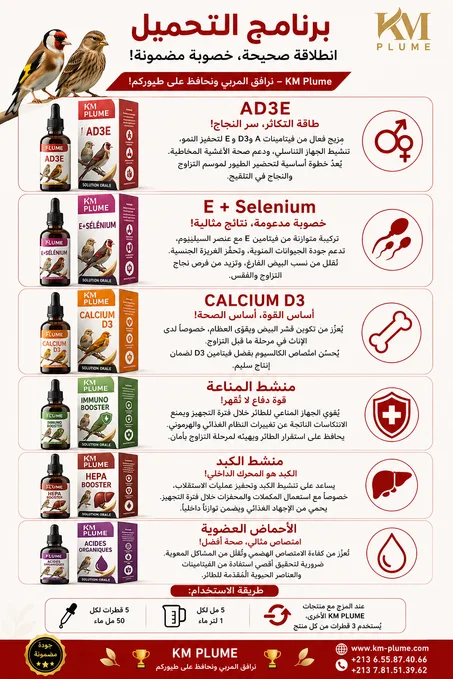 برنامج التحميل