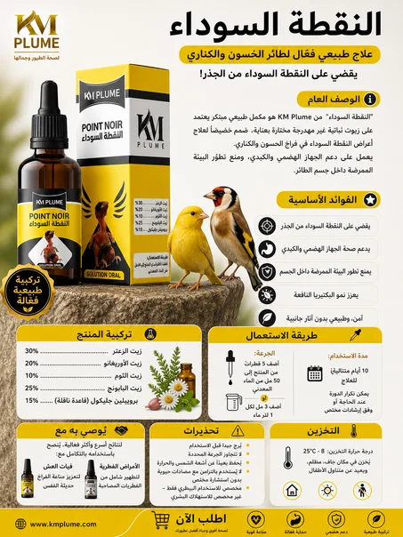 POINT NOIR النقطة السوداء