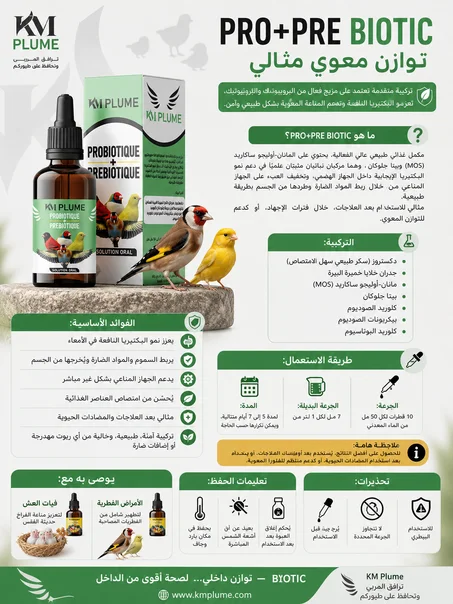 PROBIOTIQUE + PREBIOTIQUE
