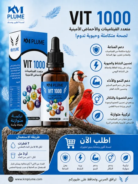 متعدد  فيتامينات  vit 1000