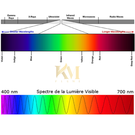 اساسيات  علم  الا ضاءة  في تربية طيور