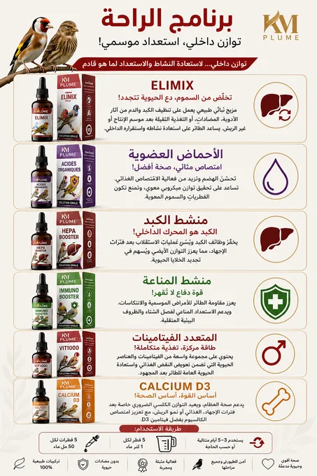 برنامج مرحلة الراحة