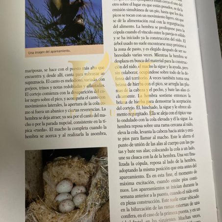 دليل شامل لتحسين نسبة تخصيب البيض والعناية بالفراخ حديثة الفقس