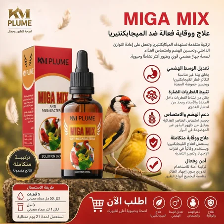 MEGA MIX