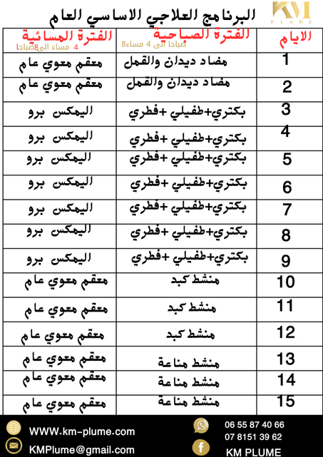 البرنامج العلاجي الاساسي العام