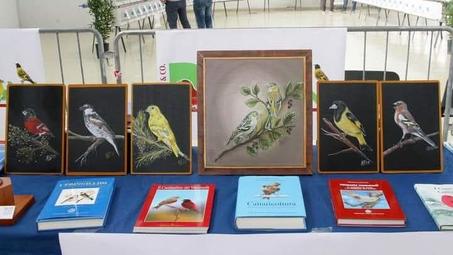 بالعلم تبني المستقبل، وبالجهل تهدم الحاضر