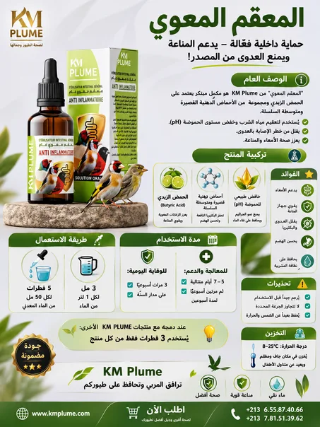 معقم معوي عام